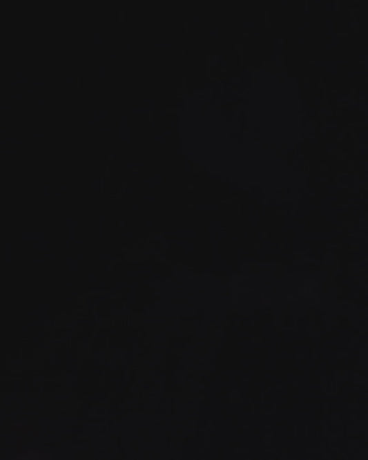 Axolotl Baby Zou Christmas